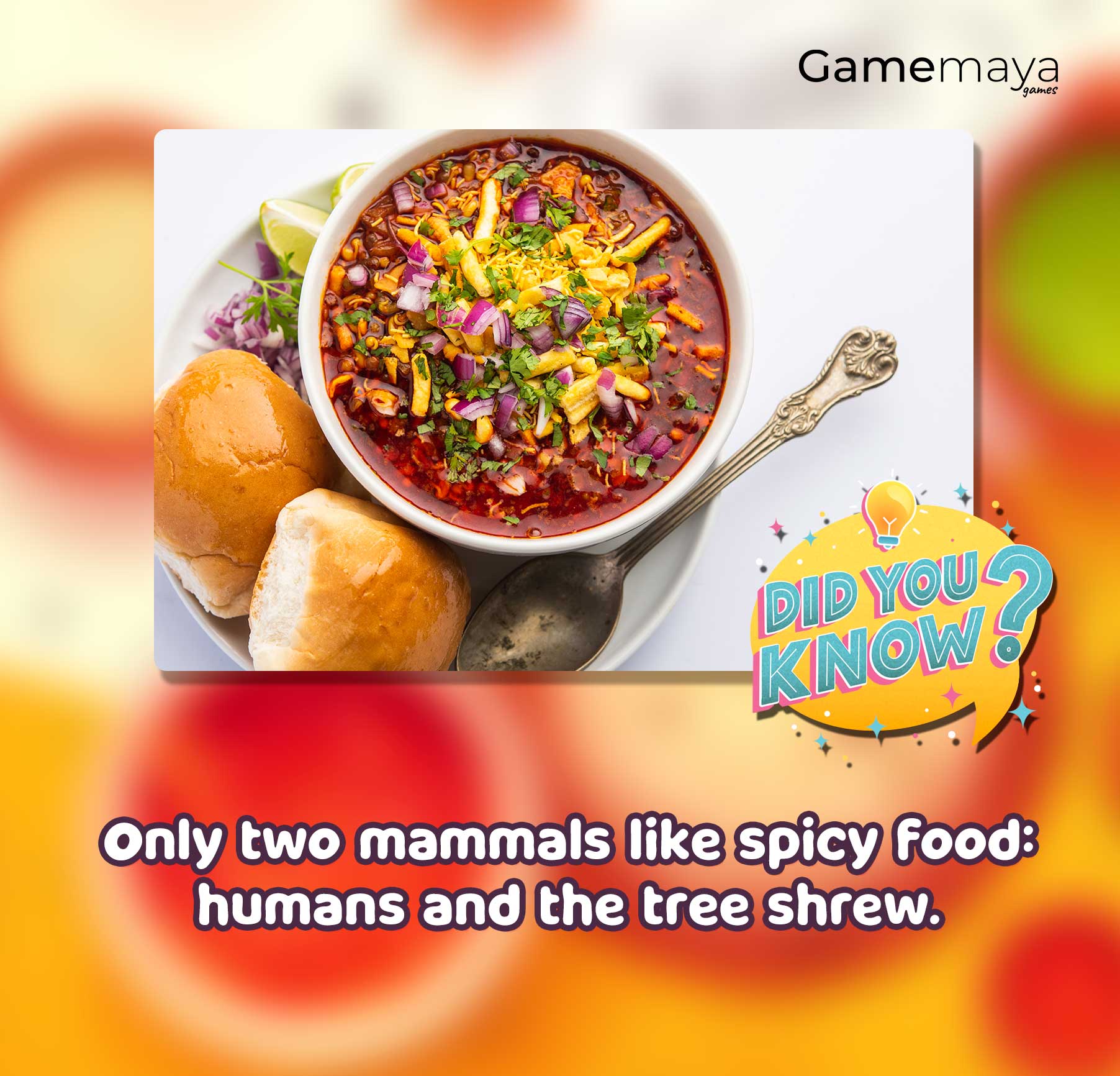 game maya, gamemaya, do you know, did you know